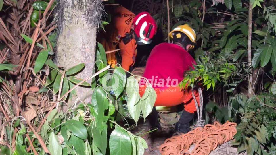 Homem é executado a tiros e corpo é encontrado em área de mata no bairro Colônia Terra Nova