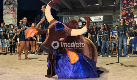 Grupo Norte de Comunicação anuncia transmissão do Festival Folclórico dos Bois de Manaus