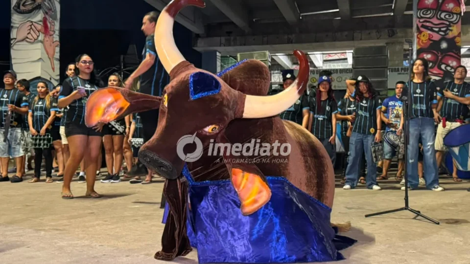 Grupo Norte de Comunicação anuncia transmissão do Festival Folclórico dos Bois de Manaus