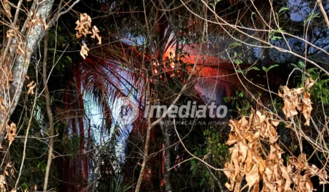 Incêndio volta a atingir área de mata no Parque 10 após suspeita de fogo criminoso