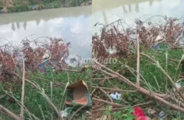 URGENTE: Corpo em avançado estado de decomposição é encontrado às margens de igarapé no Novo Aleixo