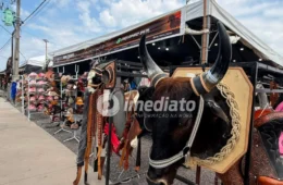 Expoagro 2026 reúne exposição de animais, produtos agropecuários, peixes amazônicos e rodeio em Manaus