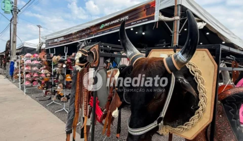 Expoagro 2026 reúne exposição de animais, produtos agropecuários, peixes amazônicos e rodeio em Manaus