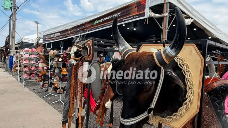 Expoagro 2026 reúne exposição de animais, produtos agropecuários, peixes amazônicos e rodeio em Manaus