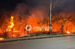 Incêndio atinge área de vegetação no Distrito Industrial durante a madrugada em Manaus