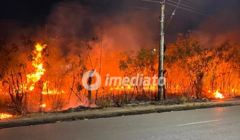 Incêndio atinge área de vegetação no Distrito Industrial durante a madrugada em Manaus