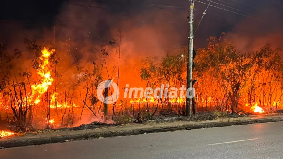 Incêndio atinge área de vegetação no Distrito Industrial durante a madrugada em Manaus