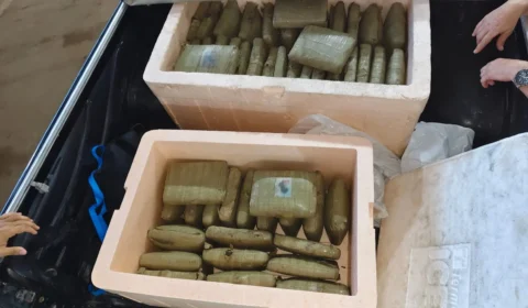 Polícia desarticula esquema que transportava skunk do Amazonas para o Rio de Janeiro; 125 kg da droga são apreendidos