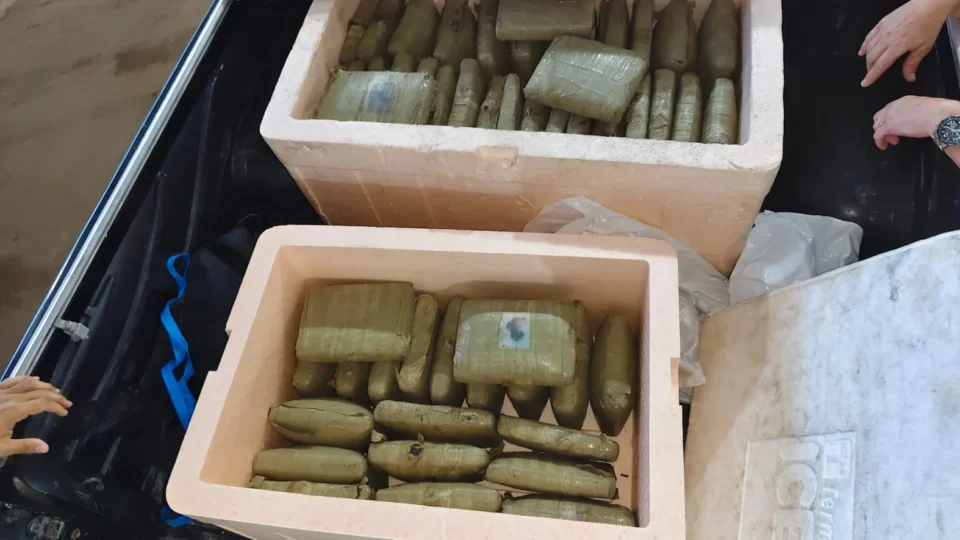 Polícia desarticula esquema que transportava skunk do Amazonas para o Rio de Janeiro; 125 kg da droga são apreendidos