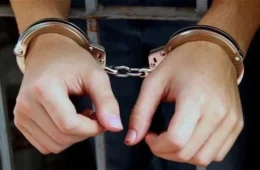 TRÁFICO: mulher presa com 33 kg de skunk disse à PF que transportava farinha