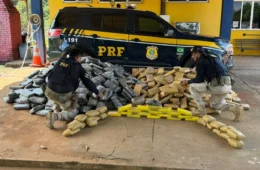 FUNDO FALSO: Mais de 1 tonelada de drogas é encontrada em caminhão na BR-364