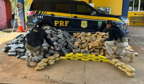 FUNDO FALSO: Mais de 1 tonelada de drogas é encontrada em caminhão na BR-364