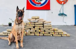 Cão farejador encontra 49 kg de drogas escondidos em freezer e micro-ondas em embarcação, no oeste do PA