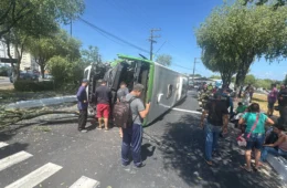 URGENTE: Ônibus bate em árvore e tomba na Avenida São Jorge; várias pessoas ficam feridas