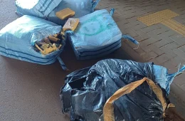 Mais de 200 quilos de skunk são encontrados escondidos em carga de paletes