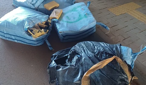 Mais de 200 quilos de skunk são encontrados escondidos em carga de paletes
