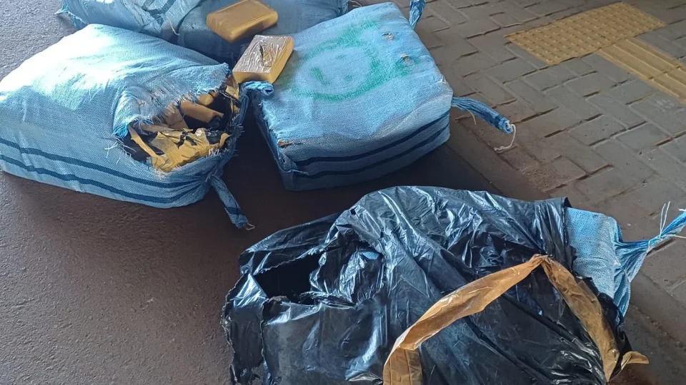 Mais de 200 quilos de skunk são encontrados escondidos em carga de paletes