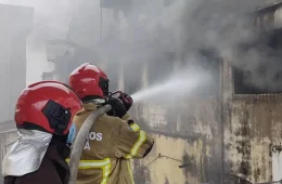 Alerta no Amapá: 502 incêndios foram registrados no primeiro semestre de 2026