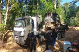 PF cumpre oito mandados contra suspeitos de extração ilegal de madeira em terra indígena no Pará