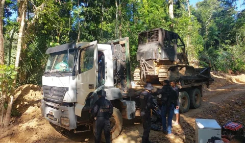 PF cumpre oito mandados contra suspeitos de extração ilegal de madeira em terra indígena no Pará