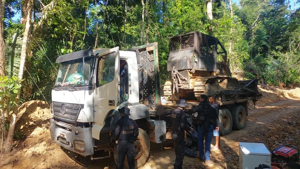 PF cumpre oito mandados contra suspeitos de extração ilegal de madeira em terra indígena no Pará