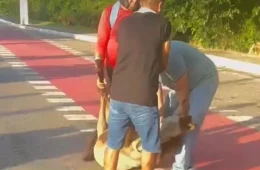 Cavalo é atropelado na avenida Centenário em Belém e recebe ajuda de quem passava pelo local