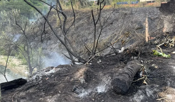 Pânico na Avenida Margarita: incêndio toma conta de área de vegetação e assusta moradores