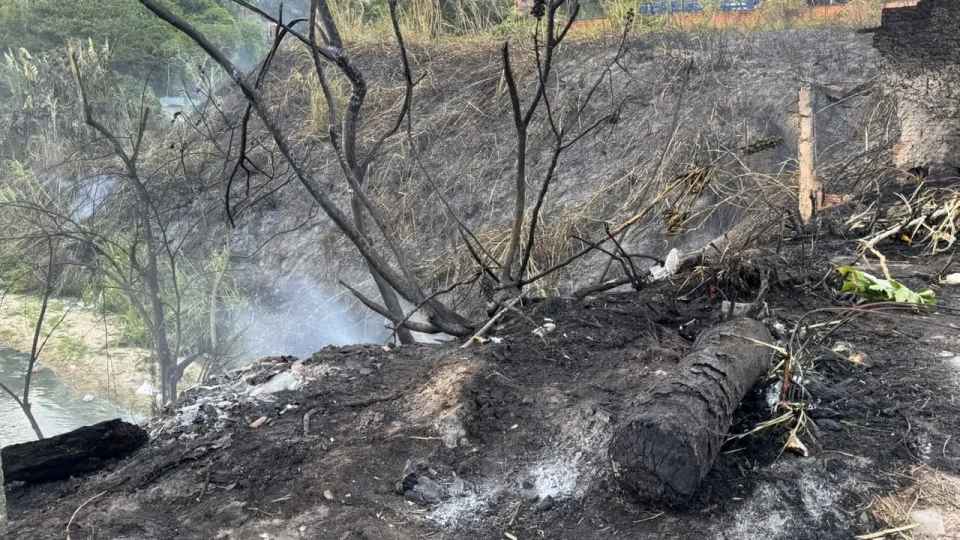 Pânico na Avenida Margarita: incêndio toma conta de área de vegetação e assusta moradores