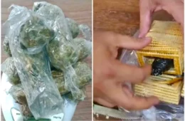 MÃE DO CRIME: mulher tenta levar droga para filho preso escondida em pacote de bolacha