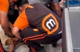 LAUDO APONTA ASFIXIA: jovem morre durante imobilização dentro de atacarejo em Macapá