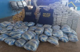 Cerca de 250 kg de skunk são encontrados abandonados às margens de rio em Rondônia