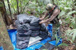 Seis toneladas de cocaína são destruídas em operação contra o tráfico na Amazônia
