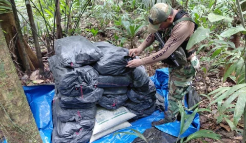 Seis toneladas de cocaína são destruídas em operação contra o tráfico na Amazônia