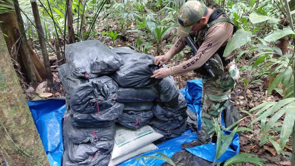 Seis toneladas de cocaína são destruídas em operação contra o tráfico na Amazônia