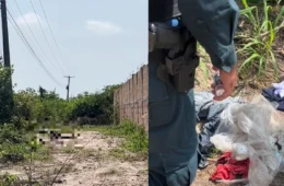 Corpo em avançado estado de decomposição é encontrado às margens da BR-316 em Santa Izabel