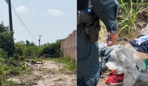 Corpo em avançado estado de decomposição é encontrado às margens da BR-316 em Santa Izabel