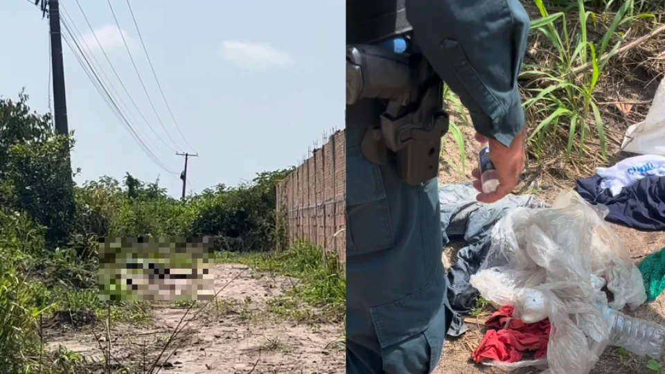 Corpo em avançado estado de decomposição é encontrado às margens da BR-316 em Santa Izabel