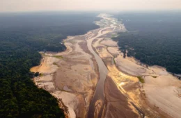 Brasil em colapso climático: 336 mil afetados em 2025