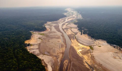 Brasil em colapso climático: 336 mil afetados em 2025