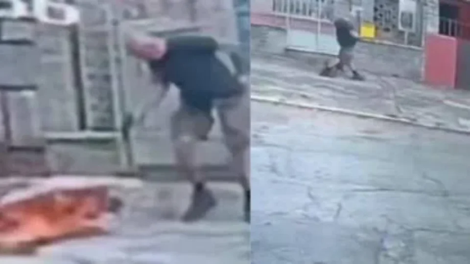 VÍDEO: Homem saca arma e mata cachorro com quatro tiros em rua na Tijuca, no Rio de Janeiro