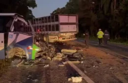 TRAGÉDIA: Colisão entre ônibus e carreta deixa 23 mortos na BR-373, no Paraná