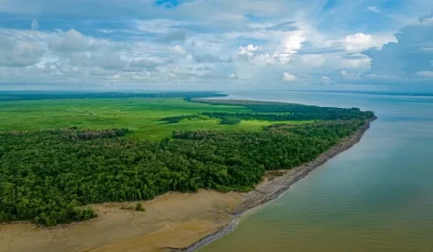 Petrobras identifica sinais de petróleo na bacia da Foz do Amazonas
