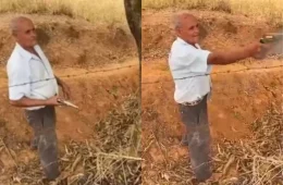 Veja vídeo: Discussão por pé de manga na divisa de propriedade termina com dois mortos em Minas Gerais