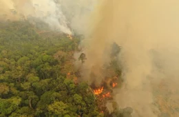 Amazônia tem aumento de mais de 3°C nas temperaturas extremas em áreas preservadas, aponta pesquisa
