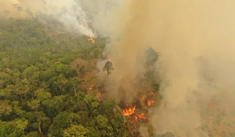 Amazônia tem aumento de mais de 3°C nas temperaturas extremas em áreas preservadas, aponta pesquisa