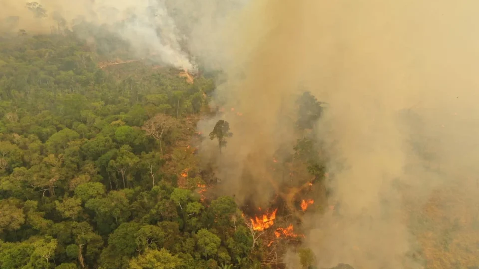 Amazônia tem aumento de mais de 3°C nas temperaturas extremas em áreas preservadas, aponta pesquisa