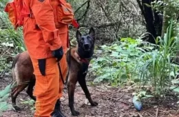 Mulher é resgatada após entrar em área de mata e banhado em Vilhena