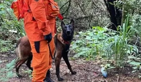Mulher é resgatada após entrar em área de mata e banhado em Vilhena