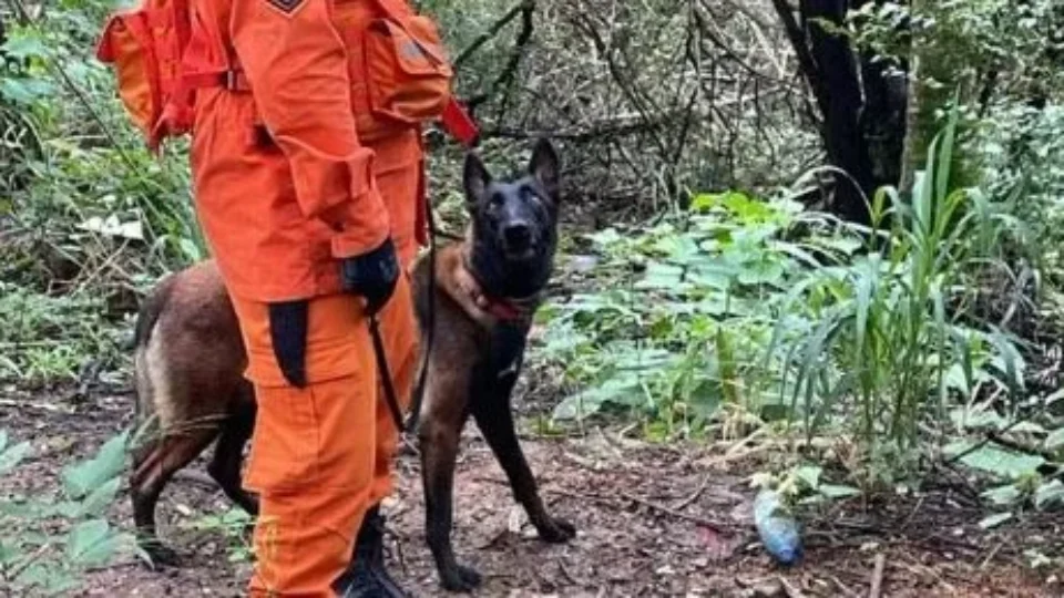 Mulher é resgatada após entrar em área de mata e banhado em Vilhena