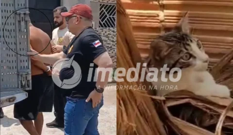 VEJA VÍDEO: Trio é preso após jogar gato em quintal com cães e deixá-lo agonizando por 12 horas no Amazonas